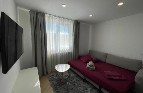 Sangeorz-Bai Appartement | APARTAMENT ULTRACENTRAL,PARCARE PRIVATA,WiFi