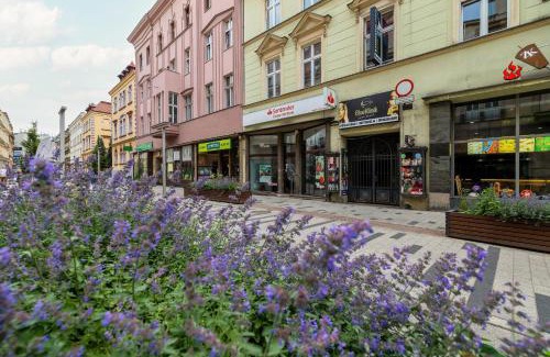 Bytom Appartement | Apartament w Centrum Bytomia by Noclegi Renters