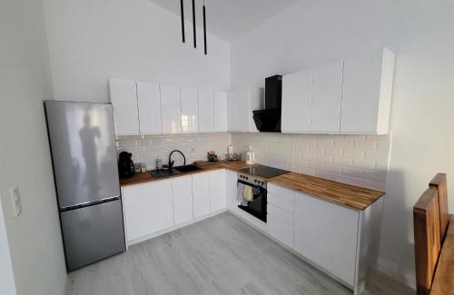 Psie Pole Appartement | Apartament w Starym Mlynie Loft Różanka