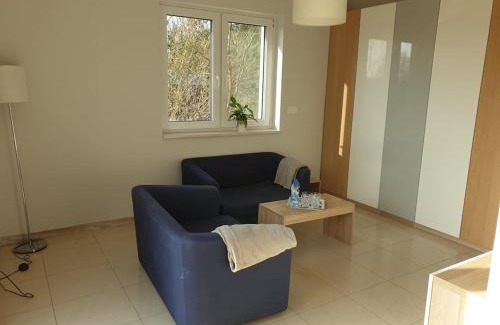 Sroda Wielkopolska Appartement | Apartament w zieleni do wynajęcia blisko jeziora