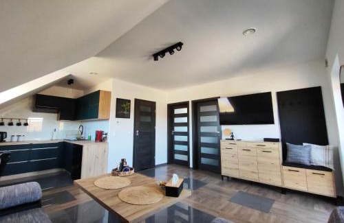 Lesko Appartement | Apartament Widokówka