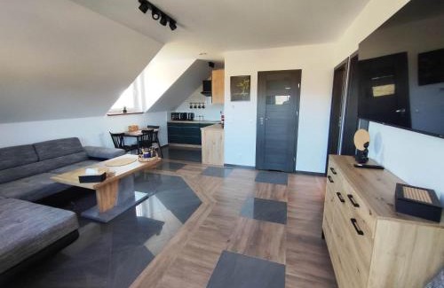 Lesko Appartement | Apartament Widokówka