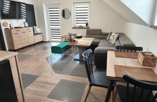 Lesko Appartement | Apartament Widokówka