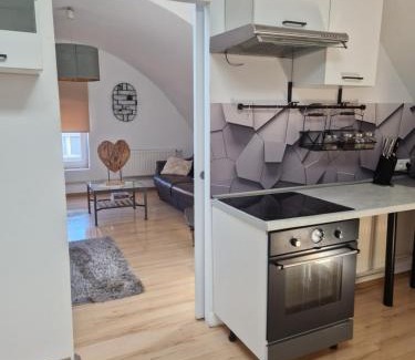 Wodzislaw Slaski Appartement | Apartament Wodzisław Śląski Blisko granicy