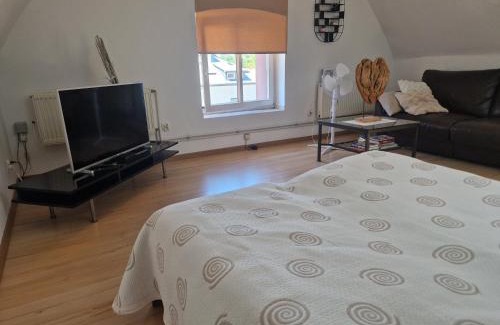 Wodzislaw Slaski Appartement | Apartament Wodzisław Śląski Blisko granicy