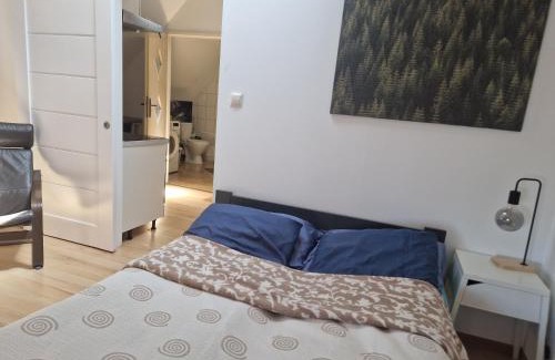 Wodzislaw Slaski Appartement | Apartament Wodzisław Śląski Blisko granicy
