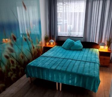 Sztutowo Appartement | Apartament z klimatyzacją