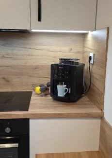 Zabrze Appartement | Apartament Zoya