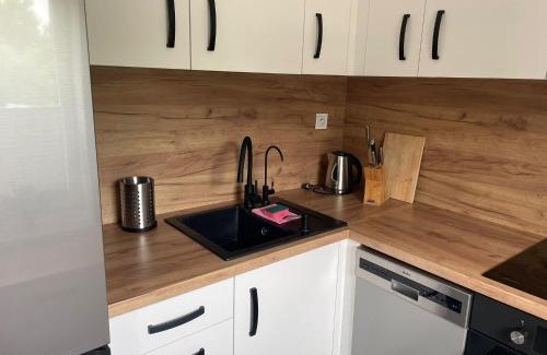 Zabrze Appartement | Apartament Zoya