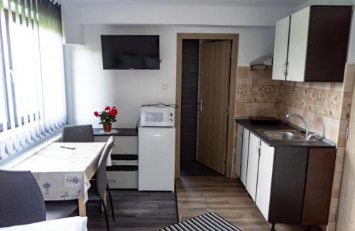 Praid Appartement | Apartamente Ambrus Praid