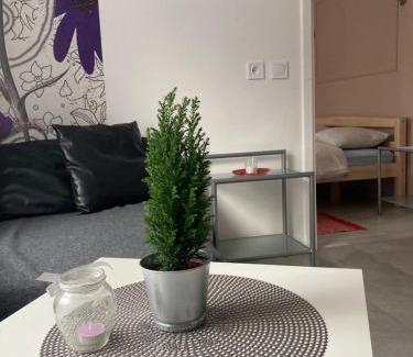Cesis Appartement | Apartamenti