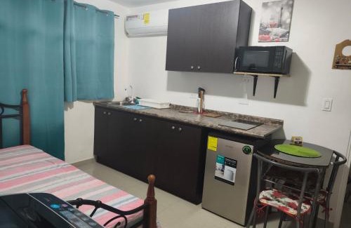 Parque Lefevre Maison | apartamentito tipo estudio AMUEBLADO tranquilo y acogedor cocina y baño privado independiente en CHANIS cerca de Costa del este