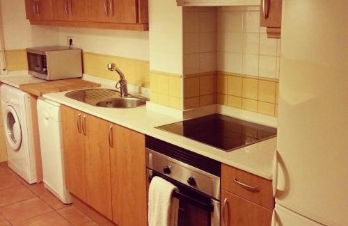 Chisagues Appartement | Apartamento Bielsa-Monte Pérdido