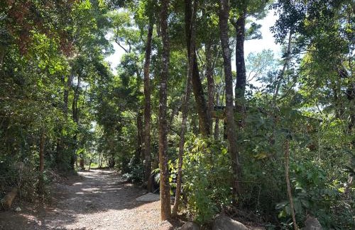 Monteverde Appartement | Apartamento Luna