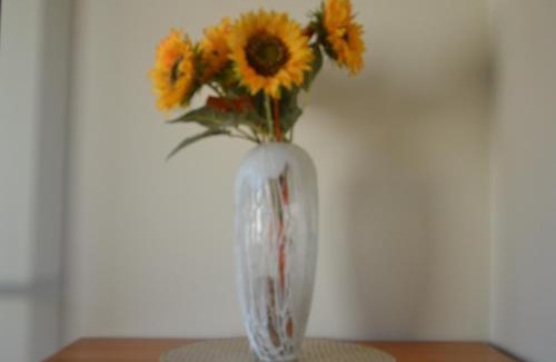 Posada de Llanes Appartement | Apartamento El Collau