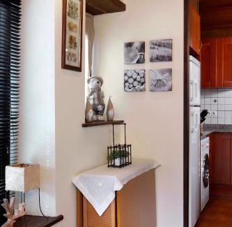 Gausach Appartement | Apartamento La Santeta de Aran