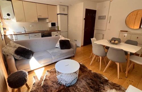 Castiello de Jaca Appartement | Apartamento Luga