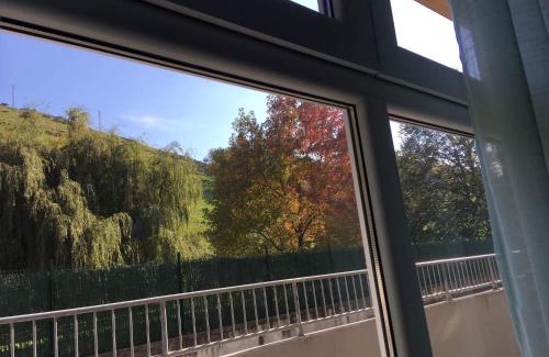 Val De San Vicente Appartement | Apartamento Martín