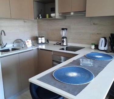 Concepcion Appartement | Apartamento Nuevo Central 2P