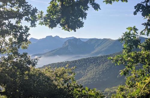 Basieda Appartement | Apartamento Olmares Picos de Europa - 4 personas