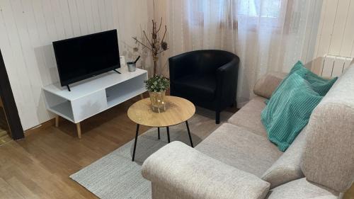 Villanua Appartement | Apartamento Selva Blanca