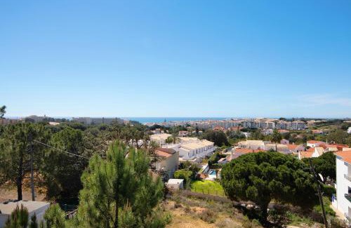 Vale de Carro Appartement | Apartamento T1 - Em zona tranquila