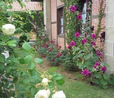 Orena Appartement | Apartamentos Arcadia