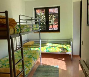 Alt Aneu Appartement | Apartamentos Bonaigua TG