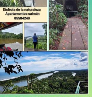 Tortuguero Appartement | Apartamentos Caimán Tortuguero