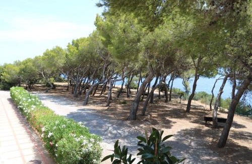 Cala Llenya Station Balnéaire | Apartamentos Club Cala Azul