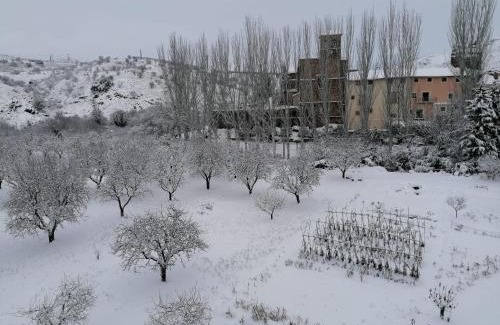 Castejon de las Armas Appartement | Apartamentos Rurales Camino del Cid