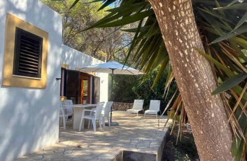 Santa Eulalia del Rio Appartement | Apartamentos Pinosol