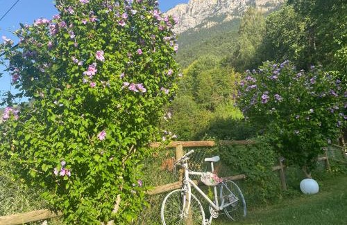 Saravillo Appartement | Apartamentos Fogaron