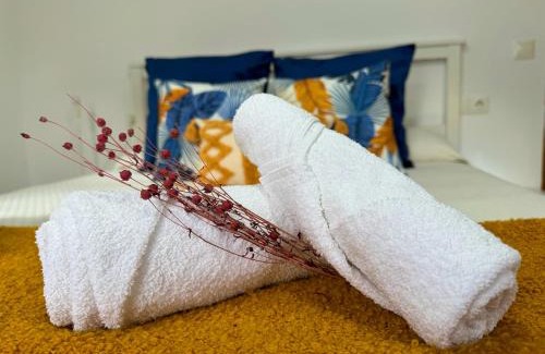 Carabano Appartement | Apartamentos La Mina de Viñón.
