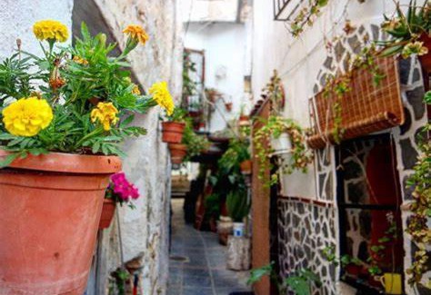 Lanjaron Appartement | Apartamentos Lanjaron