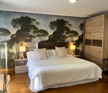 Aranda de Duero Appartement | Apartamentos San Antonio