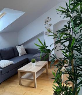 Olmedo Appartement | Apartamentos Suites Olmedo