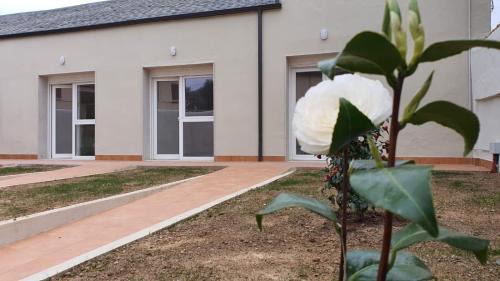 Carucedo Appartement | Apartamentos Turísticos Magencio
