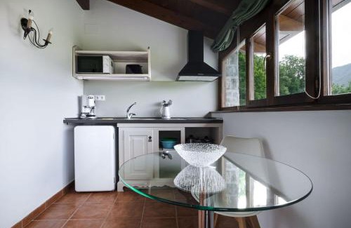 Sarvise Appartement | Apartamentos Viña Olivan