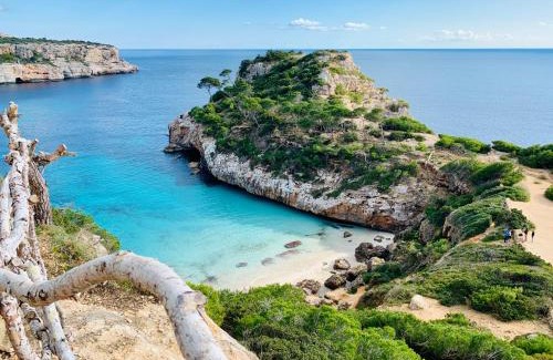 Cala Figuera Appartement | Apartaments Marina Sol i Pins