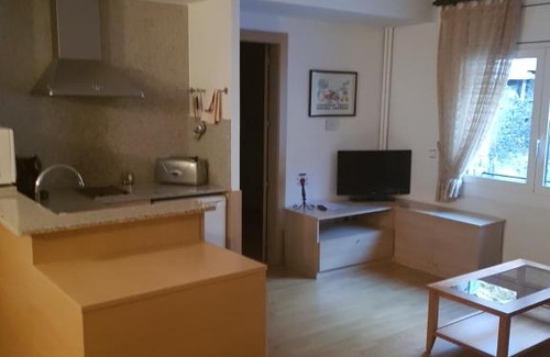 Soldeu Appartement | Apartaments Turistics Pirineu