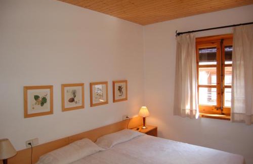 Areu Appartement | Apartaments Vall Ferrera