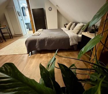 Szczawno-Zdroj Appartement | Apartamenty Astor - Księżycowy