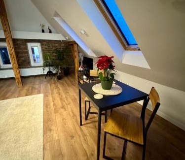 Szczawno-Zdroj Appartement | Apartamenty Astor - Księżycowy