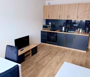 Checiny Appartement | Apartamenty Chęciny