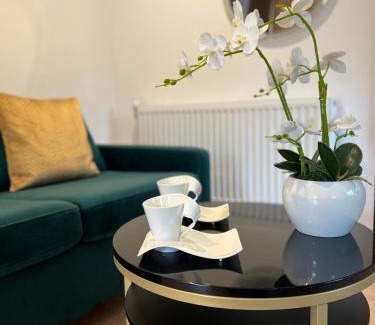 Głuchołazy Appartement | Apartamenty nad Starynką