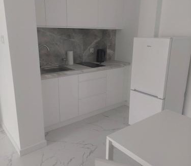 Jozefow Appartement | Apartamenty Nogalin