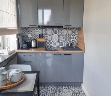 Busko-Zdroj Appartement | Apartamenty przy Tężni