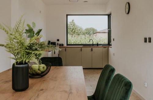 Naleczow Appartement | Apartamenty u Cherubinów