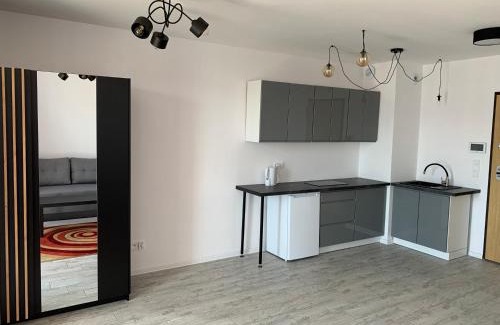 Skrzeszew Appartement | Apartamenty Wieliszew